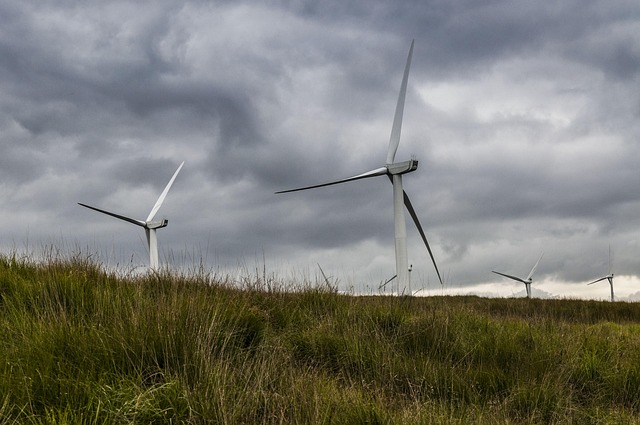 The Role of Policy in Advancing Sustainable Energy Initiatives